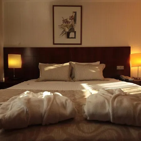 Hotel Palmcity